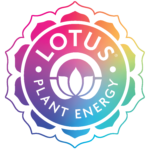 Lotus Energy Drinks