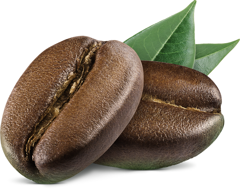 Close-up of two roasted coffee beans with green leaves in the background.