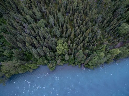 Aerial view of dense forest meeting a frozen river or lake.