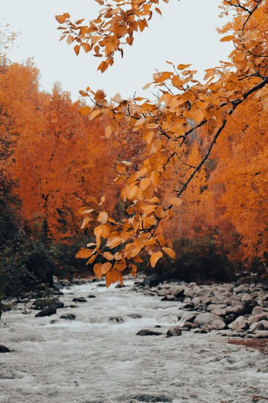 A river flowing through a forest with vibrant autumn foliage.